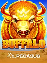 Buffalo